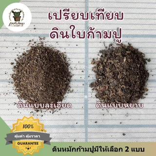 ดินใบก้ามปูหมัก ร่อนละเอียด ดินปลูกต้นไม้ทุกชนิด บอนสี ไม้ด่าง แคคตัส ผัก สมุนไพร พร้อมปลูกทันที