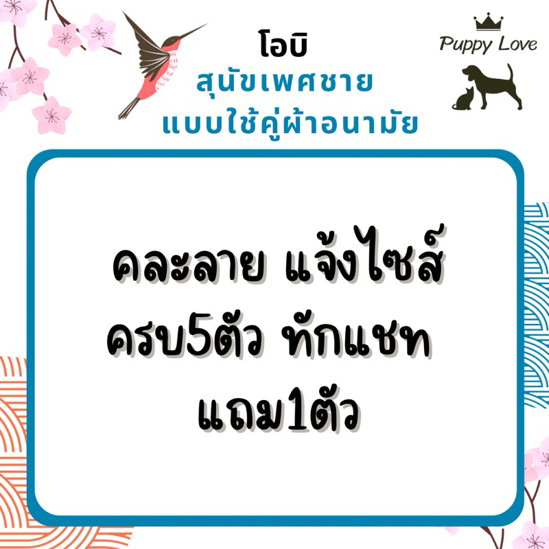 Puppy Love โอบิสุนัขตัวผู้แบบใช้ร่วมกับผ้าอนามัย