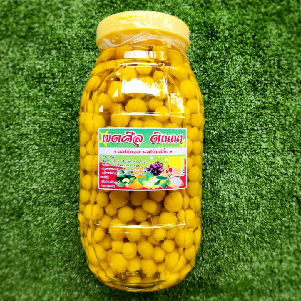 มะยม ขนาด 3000 กรัม แถมพริกเกลือ สด สะอาด อร่อย มีอย. (เปรี้ยว หวาน เค็มปลายๆ)