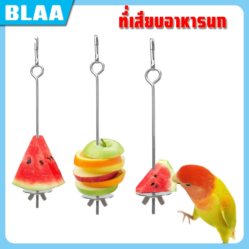 ที่เสียบอาหารนก ส้อมใส่ผลไม้ ที่เสียบไม้ สําหรับให้อาหารนก แบบสแตนเลส