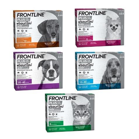 #FrontlinePlus #ยาหยอดสุนัขแมว #กำจัดเห็บหมัด #สุนัข #แมว