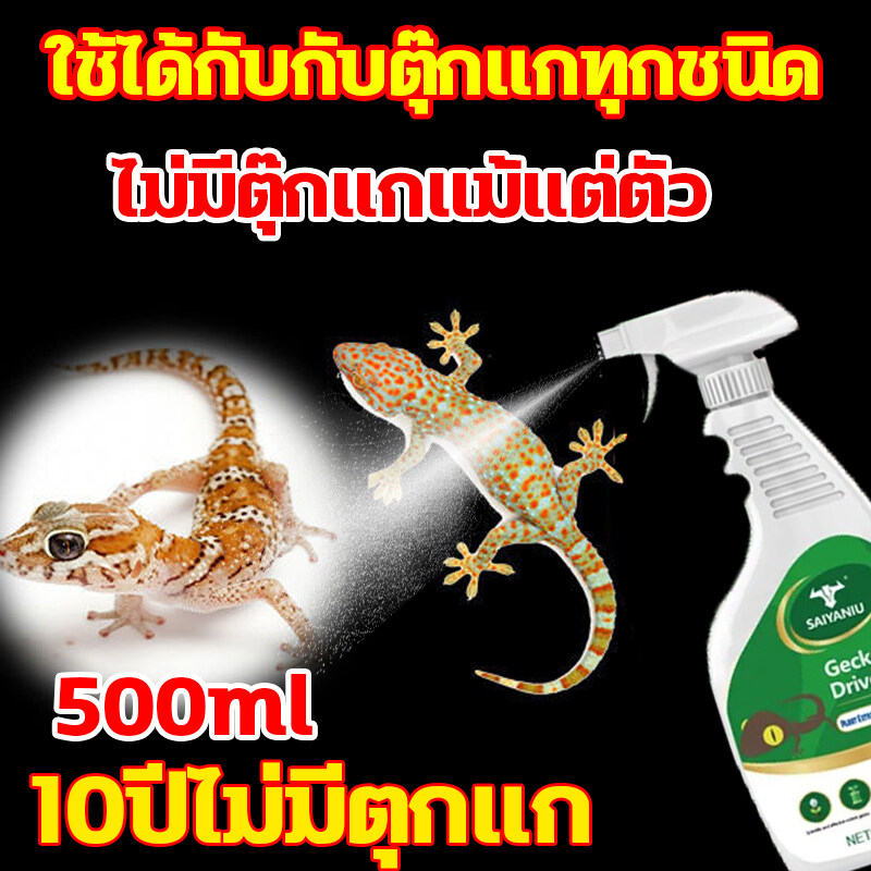 50 ปีที่ไม่มีตุ๊กแกและจิ้งจก สเปรย์ไล่จิ้งจก 500ML ยาไล่จิ้งจก ผลการขับไล่ดีขึ้น10เท่า จิ้งจกไม่มาอีก ไล่จิ้งจกถาวร สมุน