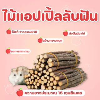 [ลดการกัดกรง] ของเล่นสำหรับลับฟัน ของเล่นติดกรง เพื่อสุขภาพฟันที่ดีของแฮมสเตอร์และสัตว์ฟันแทะทุกชนิด