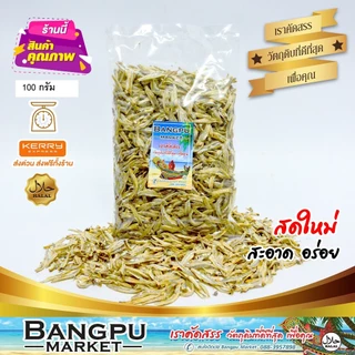 ปลาจิ้งจั้งแห้ง ปลาฉิ้งฉ้าง ปลาตัวเล็ก ปัตตานีแท้ เกรด A ตากแดดธรรมชาติ สะอาด หอม อร่อย โปรตีนสูง – Bangpu Market