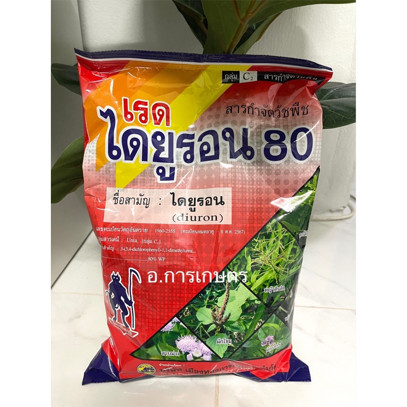 ใช้โค้ตพร้อมกันได้ เรดไดยูรอน 80 ขนาด 1กก. ใช้แค่ 50กรัม ยาคุมหญ้า กำจัดลูกหญ้า อ้อย มัน สับปะรด