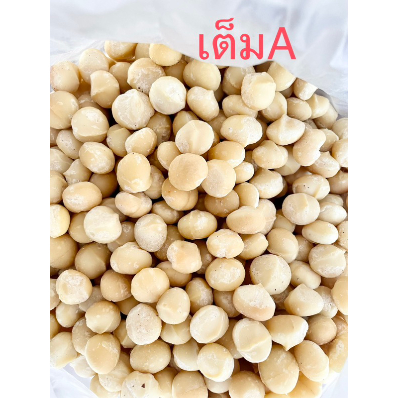 แมคคาเดเมียดอยช้าง เม็ดเต็มทุกเม็ดA 500กรัม