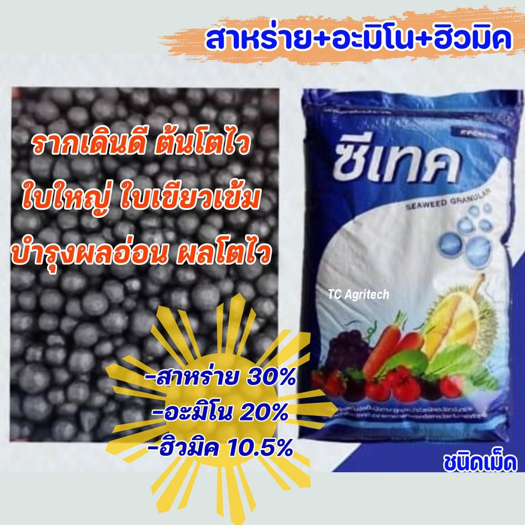 สาหร่ายอะมิโนชนิดเม็ด+ฮิวมิค*ซีเทค*คุ้มครบจบในเม็ดเดียว 1 กก.ต้นโตไว ใบเขียว เพิ่มราก บำรุงต้น แตกยอดไว บำรุงดอกและผล