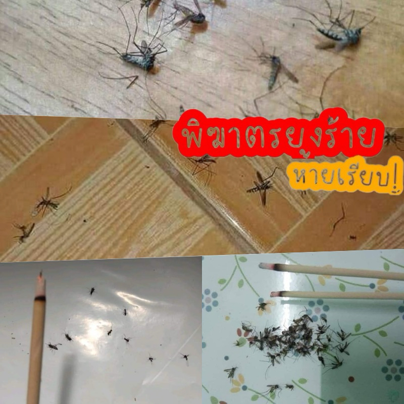 🔥ราคาโรงงาน ถูกที่สุด ธูปไล่ยุง🦟 ธูปสมุนไพร 🌿 1ห่อมี30ก้าน ธูปกันยุง ธูปกันยุงสมุนไพรธรรมชาติ Mosquito incense - รูปที่ 2