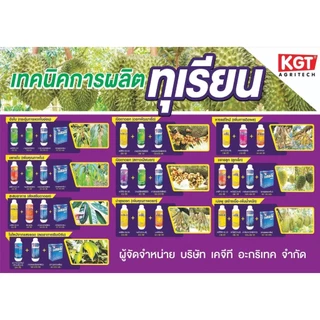 ปุ๋ยบำรุงใบ 21-3-3 ทำใบ สร้างเปลือก ลดการหลุดร่วง KGT