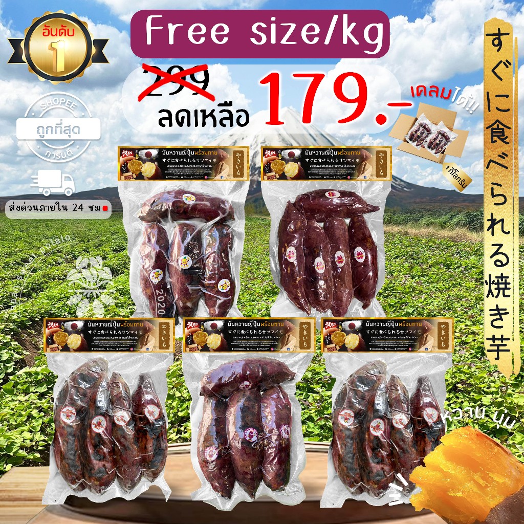 Oishi-Fresh อันดับ 1 มันหวานญี่ปุ่นเบนิฮารุกะ 5 ยี่ห้อเผาพร้อมทาน เนื้อเหลือง หอม หวาน 1 กก.4-6 หัว ก่อนเผา จัดส่ง 24ชม.