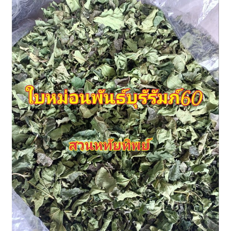 ใบหม่อนตากในร่ม2คืนแล้วอบธรรชาติปลอดสาร