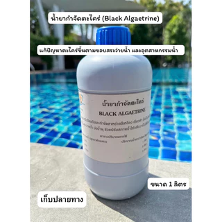น้ำยากำจัดตะไคร่น้ำ สูตรเข้มข้น ปรับสภาพน้ำใสสีฟ้าสวย 1 4 ลิตร ช่วยกำจัดสาหร่ายสีเหลืองเขียว POOL BLACK ALGAETRINE
