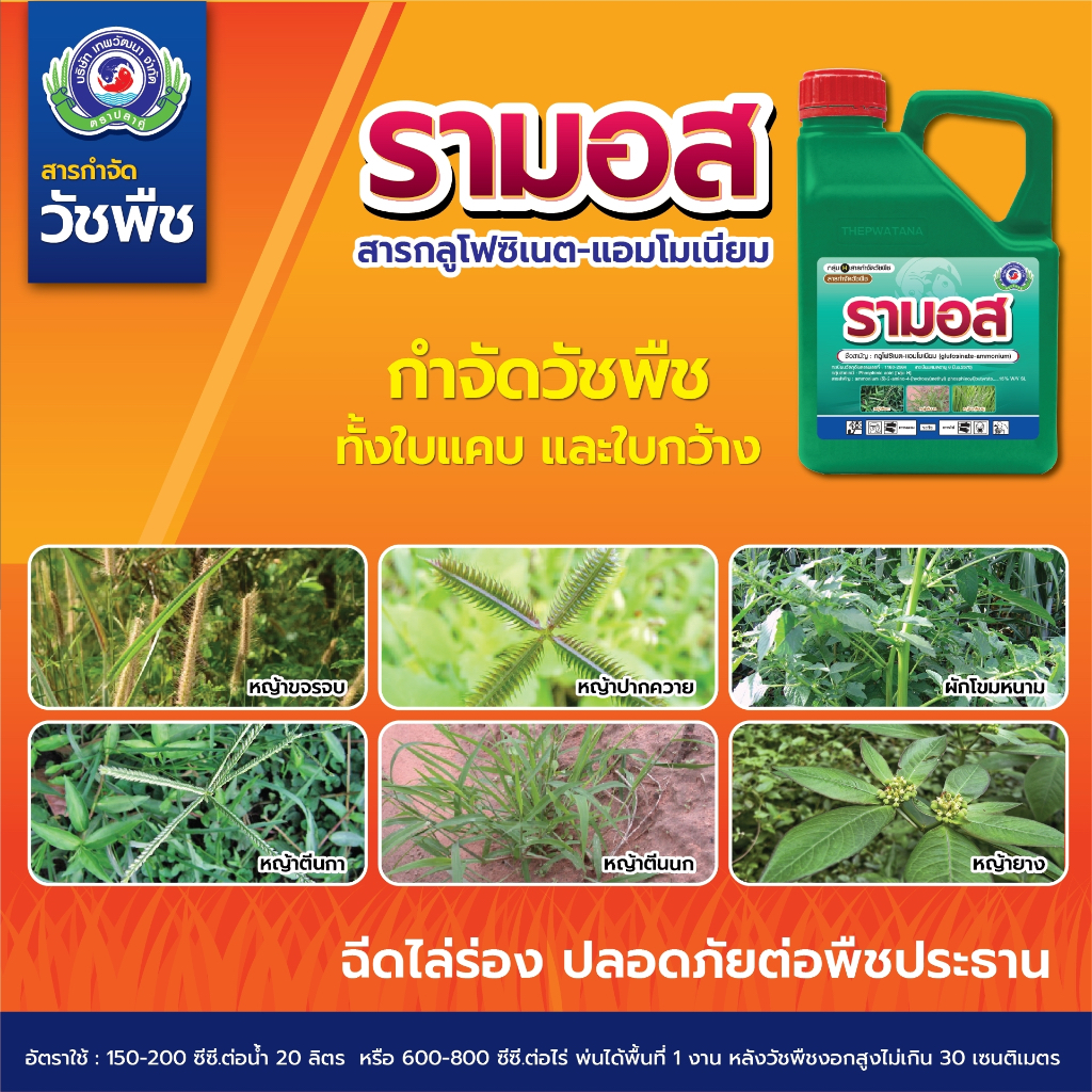 ยาฆ่าหญ้า รามอส ขนาด 1 ลิตร(สินค้าผลิตใหม่✅ของแท้) ชนิดเผาไหม้ กึ่งดูดซึม กำจัดหญ้าได้ทุกชนิด กำจัดวัชพืชใบกว้างและใบแคบ - รูปที่ 2