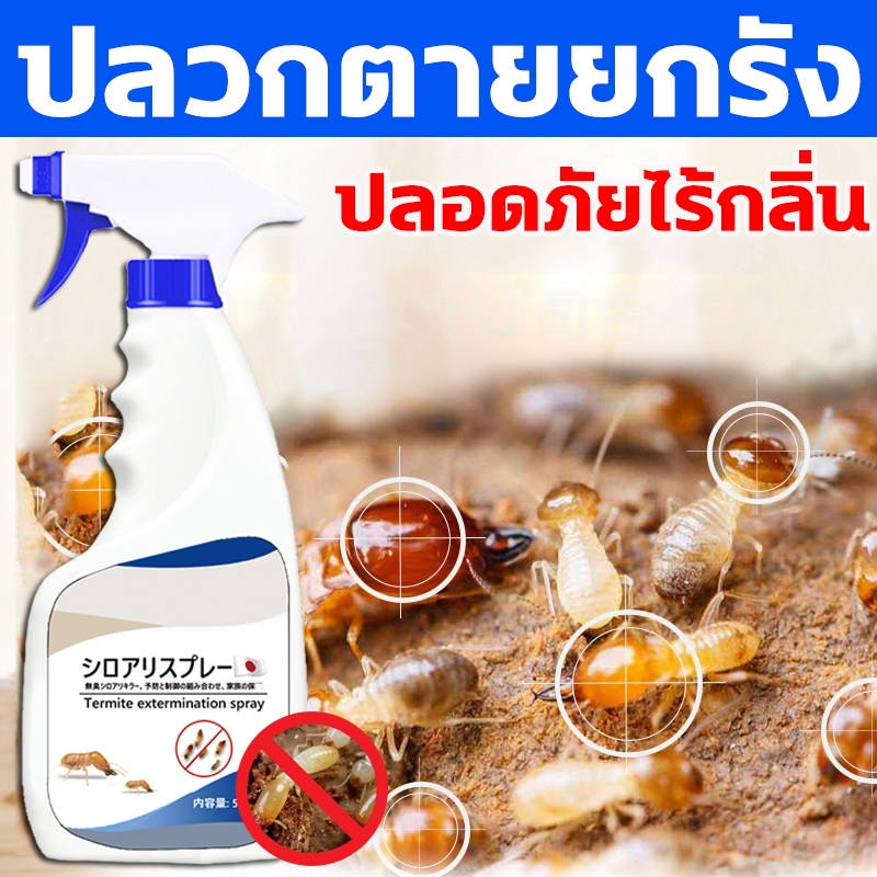 ใช้ยา1ครั้ง ตายยกรัง ยากำจัดมด ยาฆ่าปลวก กำจัดปลวก ยาปลวก 500ml มีผลยาวนาน ปลอดภัยต่อผู้ใช้และสัตว์เลี้ยง ชีวภาพ100%