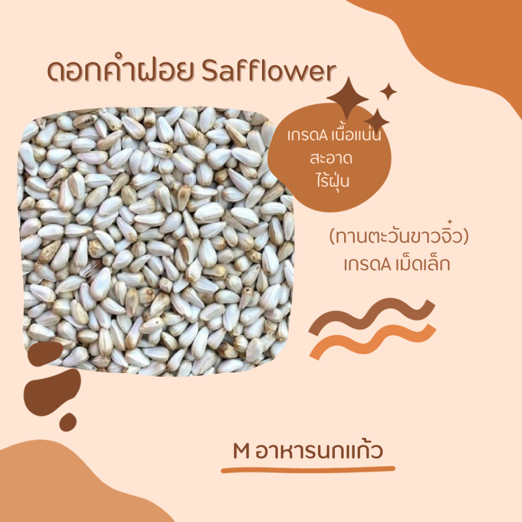 อาหารนกทานตะวันขาวเม็ดจิ๋วแต่เนื้อแน่นเปลือกน้อย ทำให้นกสนใจมากกก