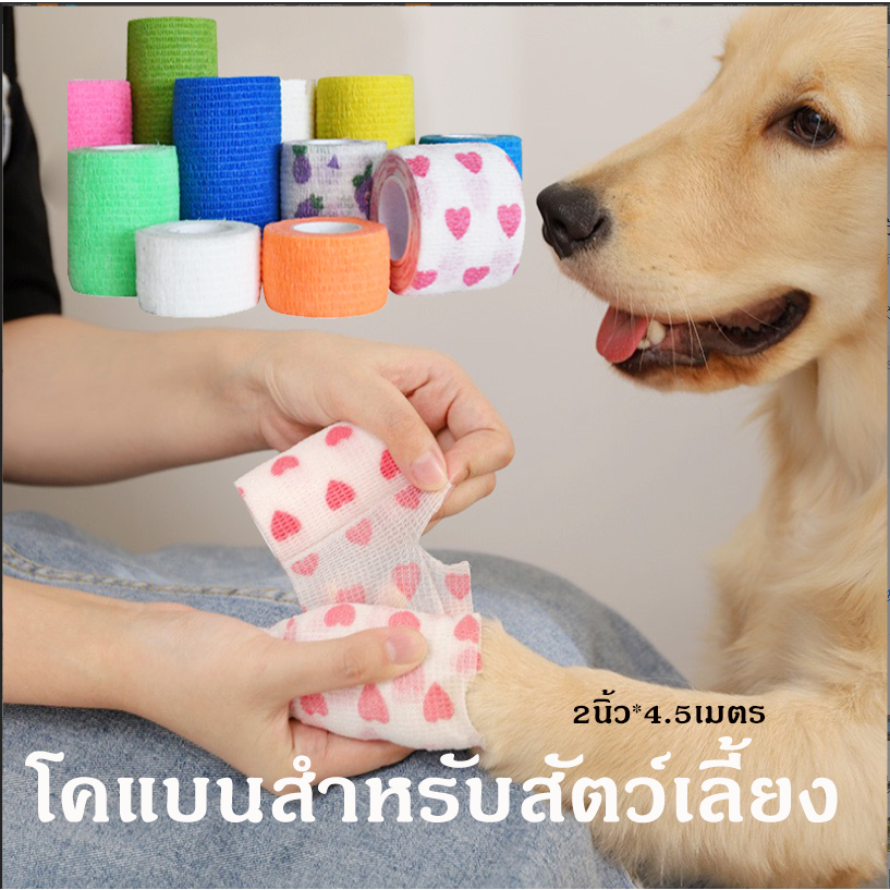 Ming โคแบนสำหรับสัตว์เลี้ยง 2นิ้ว*4.5เมตร ผ้าพันแผลสัตว์เลี้ยง เทปพันยืดหยุ่น พร้อมส่ง
