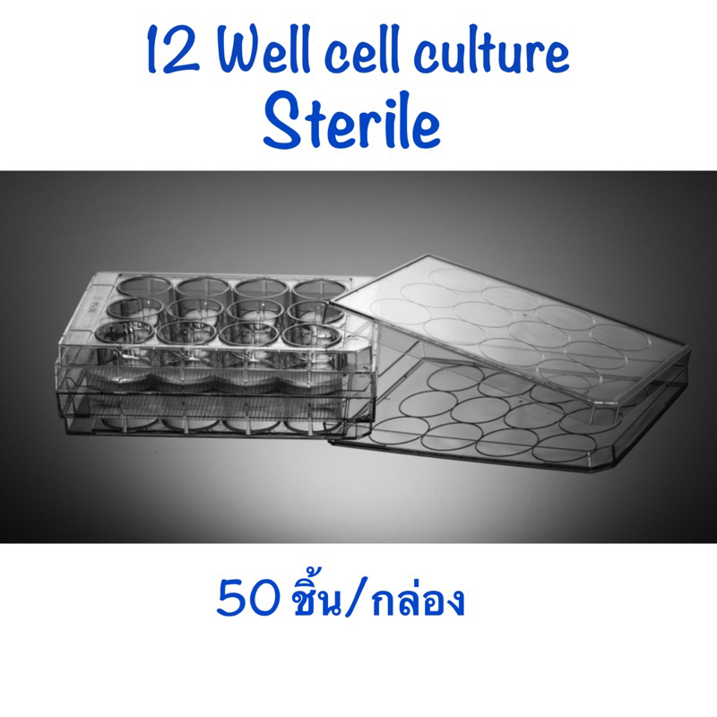 12 well cell culture plate,flat,TC,sterile (50ชิ้น/case)
