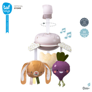 Taf Toys لعبة معلّقة لعربة الطفل Garden Mobile On-the-Go ألعاب تنمية مهارات من عمر 0 شهر صورة 1