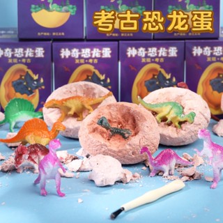 A873 ของเล่นฟรอสซิลไดโน ไดโนเสาร์ พร้อมส่งในไทย