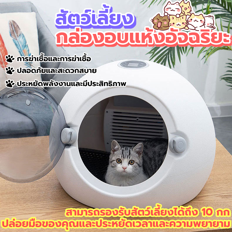 💖มีสต๊อกในไทย 600w กรงแมว ไดร์เป่าแมว ไดร์เป่าขนแมว ตู้อบแมว ที่เป่าขนแมว เครื่องเป่าขนสัตว์ เครื่องเป่าขนแมว ตู้อบขนแมว