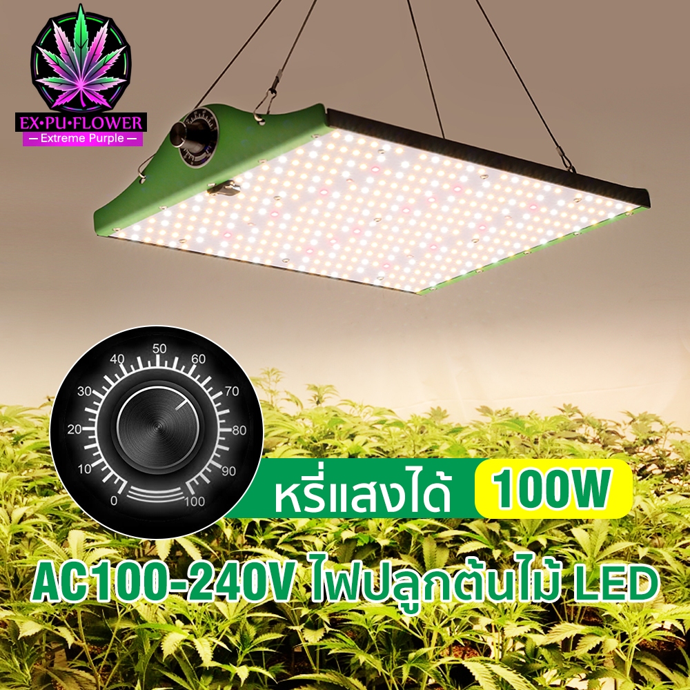 AC100-240V ไฟ LED เติบโต 100W Samsung LM281B IR&amp;UVไฟปลูกต้นไม้กันน้ำเหมาะสำหรับพืชทุกชนใช้พลังงานต่ำอุปกรปลูกต้นไม้