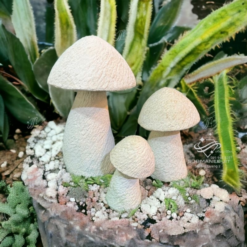 เห็ดแต่งสวน เห็ดจัดสวน (วัสดุ ปูนปั้น) Set 3 ชิ้น