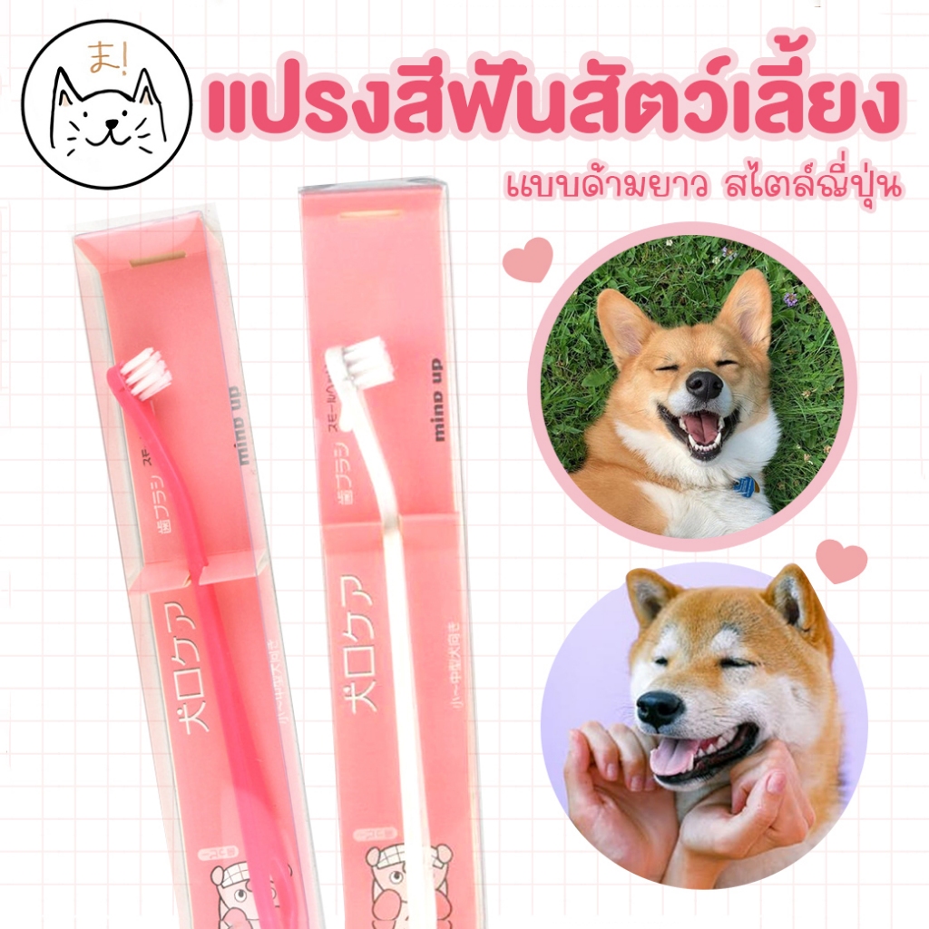 KUMAま แปรงสีฟันแมว ด้ามยาว นิ่ม แปรงสีฟันสุนัข หมา แมว