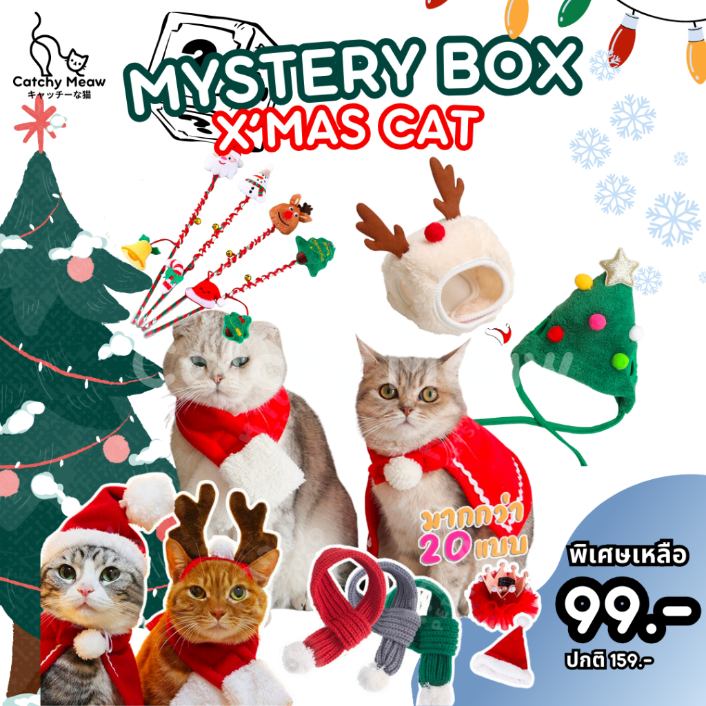 Mystery Box กล่องสุ่ม ชุดแมว หมวกแมว By Catchy Meaw