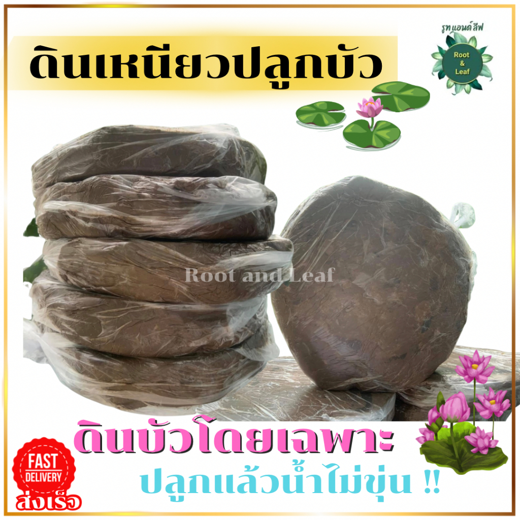 ดินเหนียวปลูกบัว ดินเหนียวสำหรับปลูกไม้น้ำ ดินเหนียวอย่างดี ดินบัว ดินปลูกโคโลคาเซีย ปลูกแล้วน้ำไม่ขุ่น ดินปั้นเนื้อละเอ
