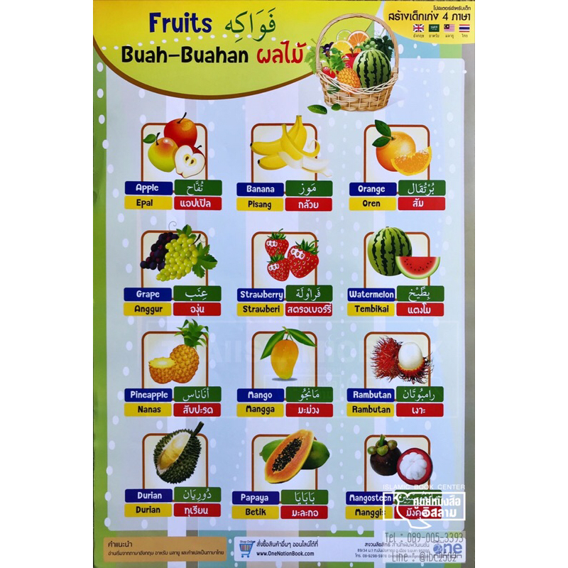 โปสเตอร์สำหรับเด็ก 6 แบบ (ร่างกายของฉัน, การละหมาด, สีต่างๆ, ผัก, ผลไม้, พยัญชนะอาหรับ-อังกฤษ)(ขนาด A2,กระดาษอ่อนมันเงา)