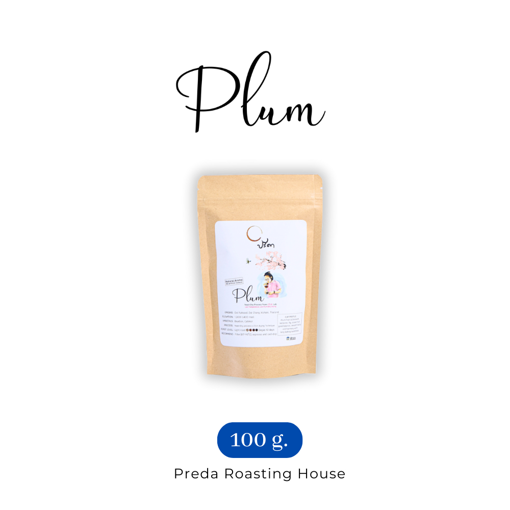 Plum (เมล็ดกาแฟ Specialty LTLH) ;100g
