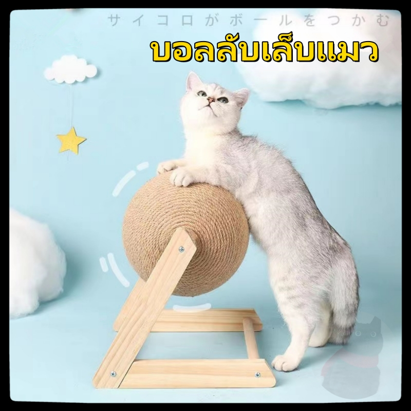 บอลลับเล็บ บอลลับเล็บแมว ที่ลับเล็บแมว ที่ฝนเล็บแมว ของเล่นแมว ลูกบอลฝนเล็บแมว คอนโดแมว