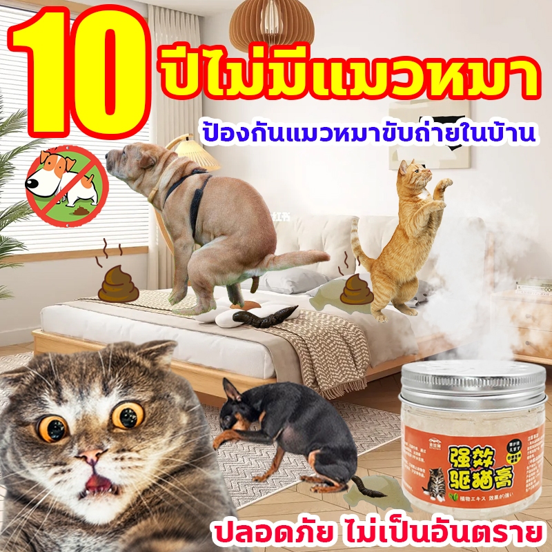 10ปีไม่มีแมวหมา ไล่แมว ก้อนไล่แมว ไล่สุนัข ไล่หมา ป้องกันแมวหมาขับถ่ายในบ้าน ยาไล่แมว ที่ไล่แมว กําจัดแมว