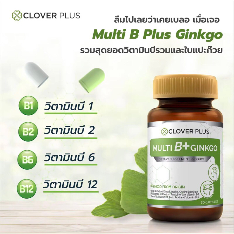 Clover Plus Multi B+ Ginkgo มัลติบี พลัส จิงโกะ สารสกัด ใบแป๊ะก๊วย บำรุงสมอง ความจำ ระบบปลายประสาท
