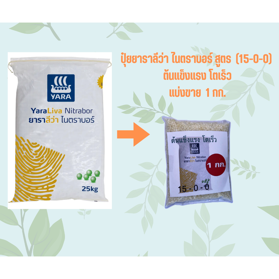 ปุ๋ยยาราราลีว่า ไนตราบอร์ สูตร (15-0-0) ต้นแข็งแรง โตเร็ว
