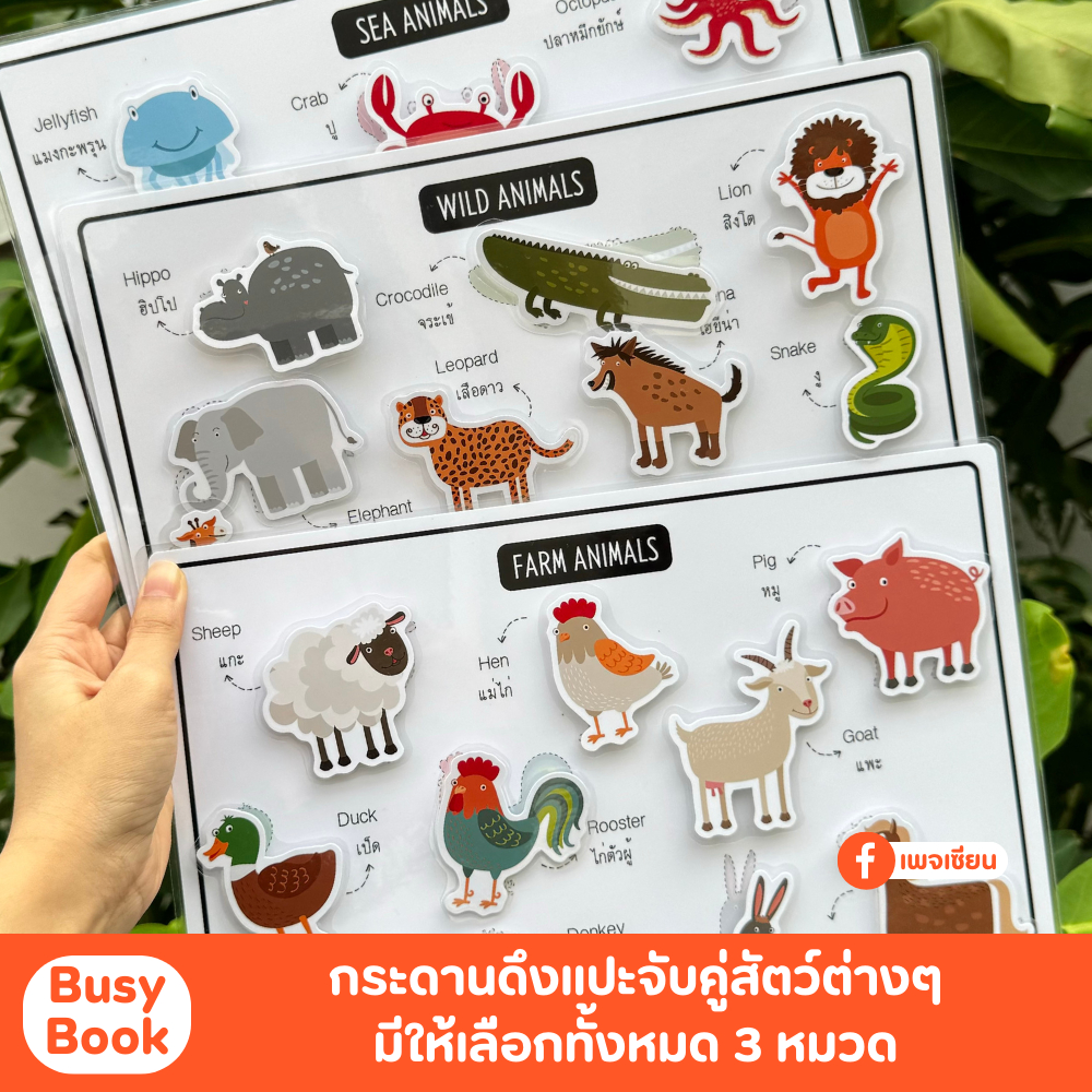 Busy Book กระดานดึงแปะเกมจับคู่สัตว์ต่างๆ เรียนรู้เรื่องคำศัพท์ไทย-อังกฤษ เคลือบแข็งอย่างดี