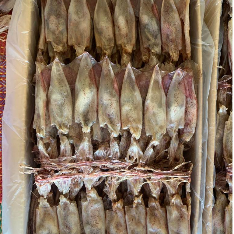 หมึกแพไข่ ไข่แน่นๆของใหม่