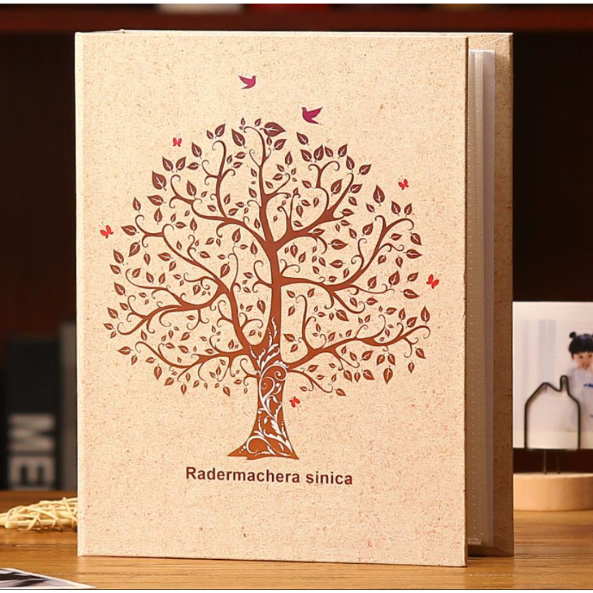 4x6 นิ้ว อัลบั้มรูป แบบสอด  เก็บได้ 200 รูป อัลบั้มรูป อัลบั้มการ์ด  อัลบั้มที่สวยงาม