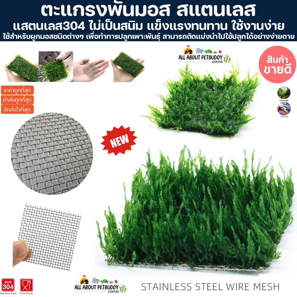 (ขายส่งถูกมาก) ตะแกรงพันมอส ตะแกรงแสตนเลส​ใช้พันมอสปลูกในน้ำ ตะแกรงตาห่าง ตะแกรงพันมอสแบบยาว  ทำจากสแตนเลส304 พันมอส มอส