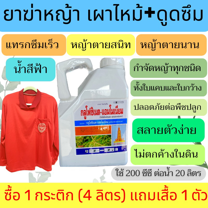 กลูโฟซิเนต กลูโฟซิเนตแอมโมเนียม 4 ลิตร ยาฆ่าหญ้า กำจัดหญ้าทุกชนิดไม่เลือกทำลาย ดูดซึมเผาไหม้