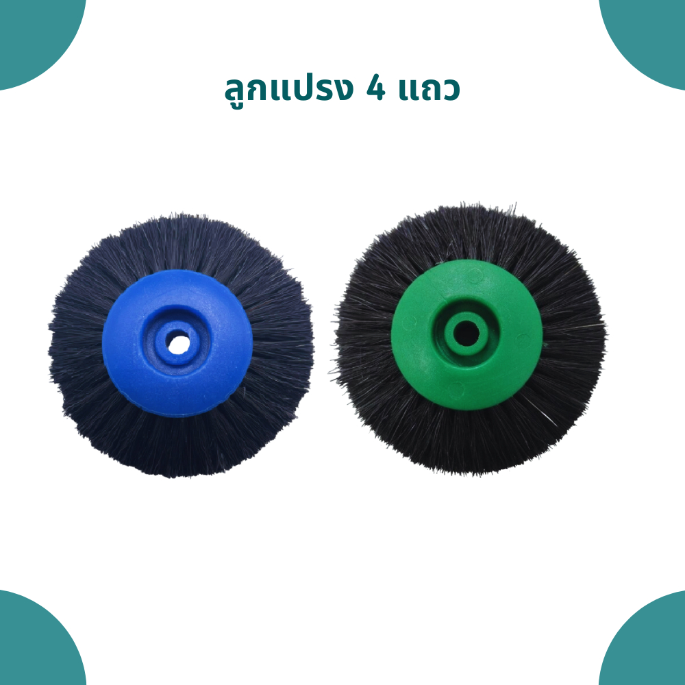 แปรงขัดขนม้า ลูกแปรง 4 แถว แกนเขียวและแกนน้ำเงิน (1ชิ้น)