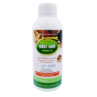 เอธีนา 5% SC ยากำจัดปลวก สารเคมีกำจัดปลวก กำจัดปลวก ฟิโปรนิล fipronil