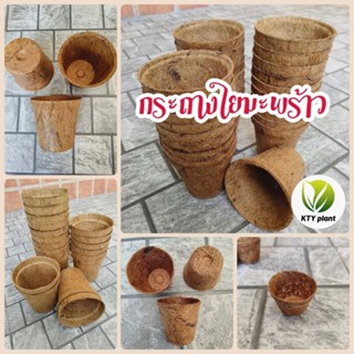 กระถางใยมะพร้าว กระถางต้นไม้ มีขนาด1นิ้ว(5ใบ) ถึงขนาด5นิ้ว