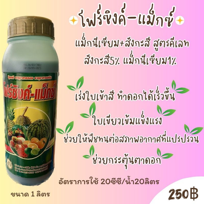 โฟร์ซิงค์แม็กซ์(สังกะสี 5% +แมกนีเซียม 1%)เร่งใบเขียว สร้างคลอโรฟิลล์ ป้องกันใบแก้วใบลายแก้อาการขาดธาตุสังกะสี