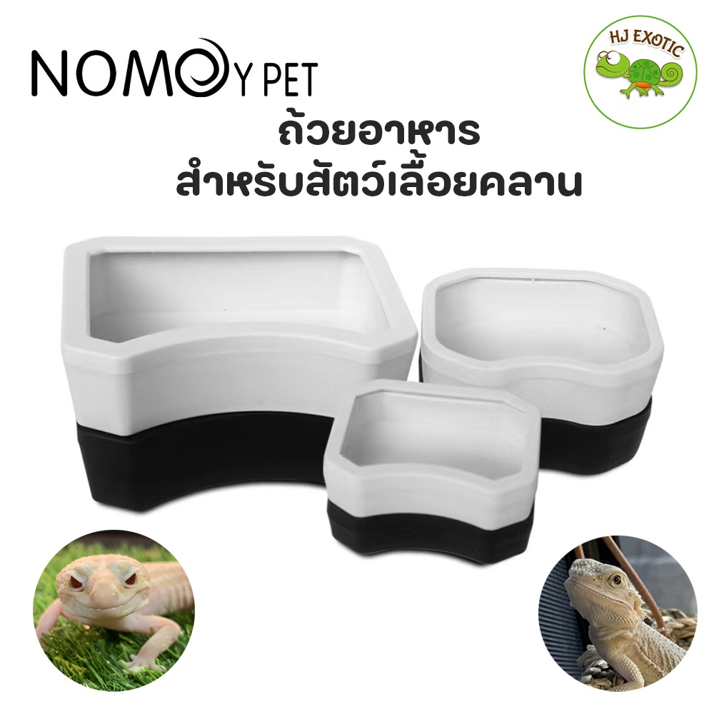 Nomoy pet ถ้วยอาหาร พลาสติก สำหรับสัตว์เลื้อยคลาน มีขอบกันเหยื่อปีนออก