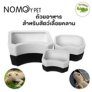 Nomoy pet ถ้วยอาหาร พลาสติก สำหรับสัตว์เลื้อยคลาน มีขอบกันเห…