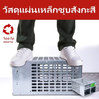 🎁FREE GIFT🎁Mouse Trap กรงดักหนู แข็งแรง ทนทาน กับดักหนู ที่ดักหนู กรงหนู คู่ประตูอัตโนมัติประสิทธิภาพสูงต่อเนื่อง