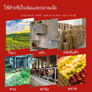 🎁FREE GIFT🎁Mouse Trap กรงดักหนู แข็งแรง ทนทาน กับดักหนู ที่ดักหนู กรงหนู คู่ประตูอัตโนมัติประสิทธิภาพสูงต่อเนื่อง