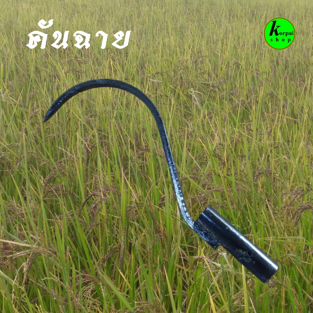 คันฉาย ที่สงฟาง ทีเกลี่ยฟางนำไปสวมด้ามได้