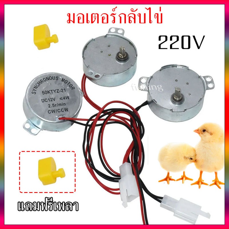 แถมเพลา มอเตอร์ฟักไข่ มอเตอร์กลับไข่ มอเตอร์หมุนไข่ 220V มอเตอร์ส่าย ราคาถูกสุด ส่งจากไทยภายใน 24 ชม.อุปกรณ์ฟักไข่